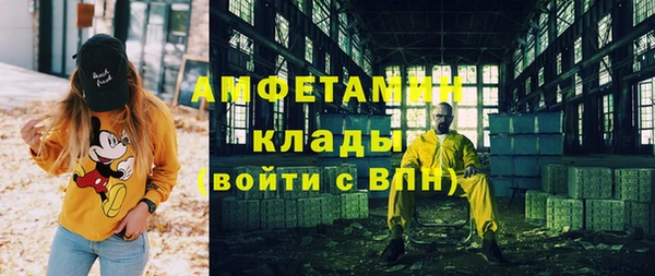 дживик Пересвет