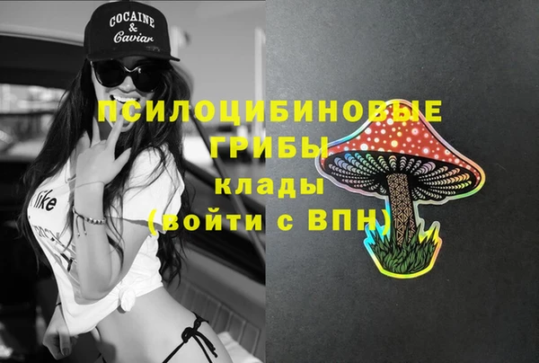 таблы Алексин