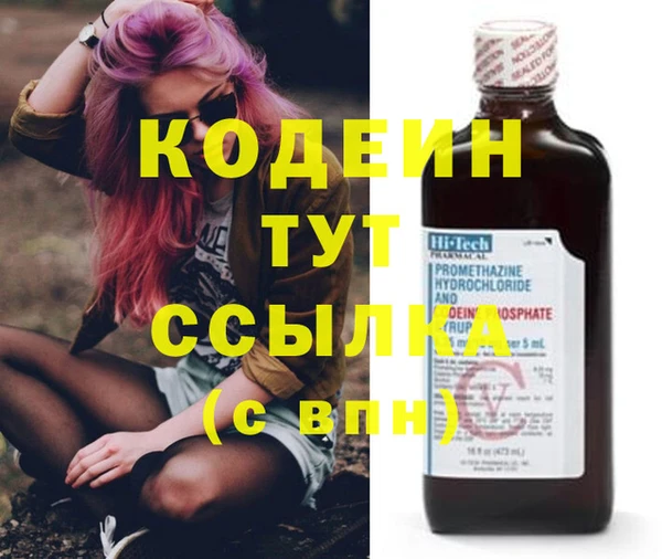 эйфоретик Алзамай