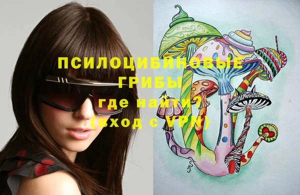 эйфоретик Алзамай